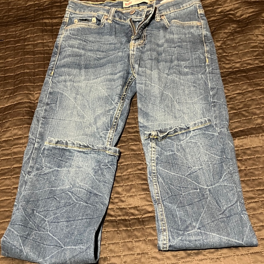 Levi's Blue Men's Jeans